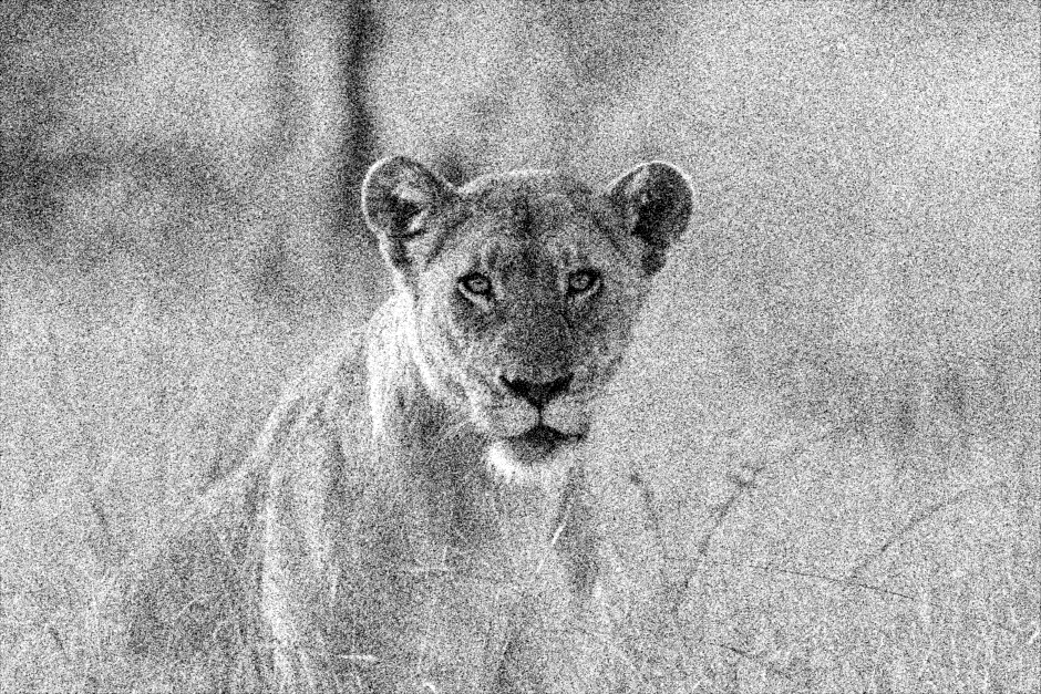 Film Grain Synthesis